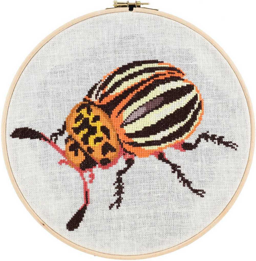 Pako Beetle Cross Stitch Kit