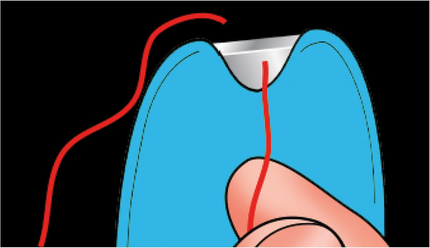 2 -in-1 Needle Threader - Taylor Seville
