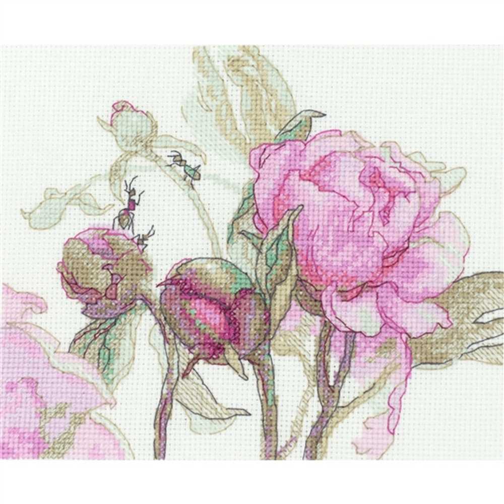 Peonies Delight Cross Stitch Kit - Aine