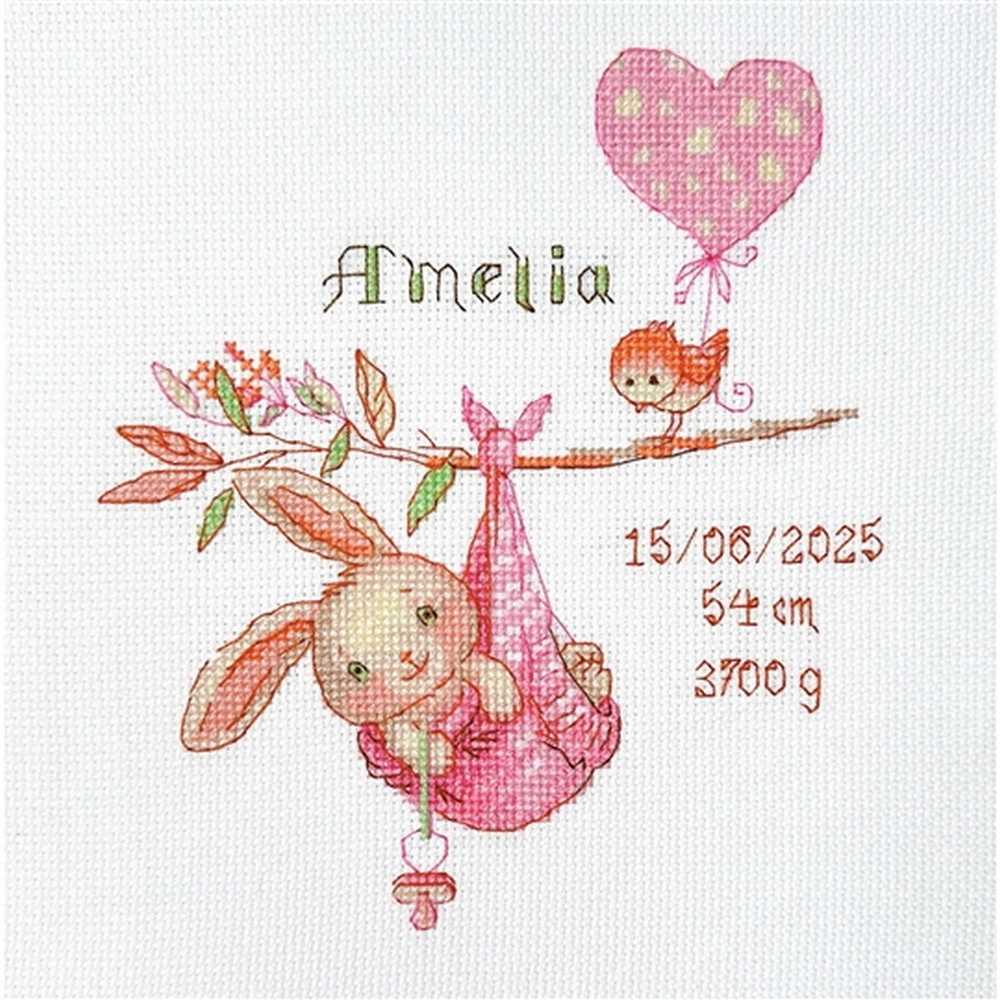 Girl Birth Sampler Cross Stitch Kit - Aine