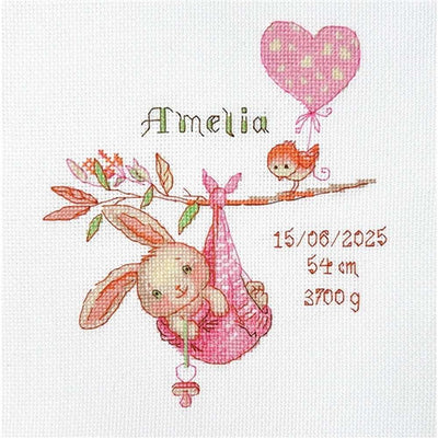 Girl Birth Sampler Cross Stitch Kit - Aine