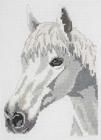White Beauty Horse Anchor Cross Stitch Kit