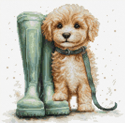 For A Walk Cross Stitch Kit ~ Luca S