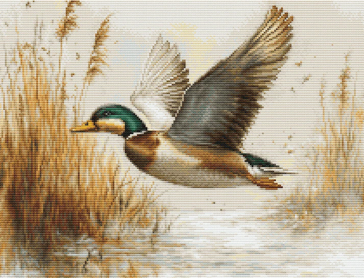 Golden Flight Cross Stitch Kit ~ Luca S GOLD