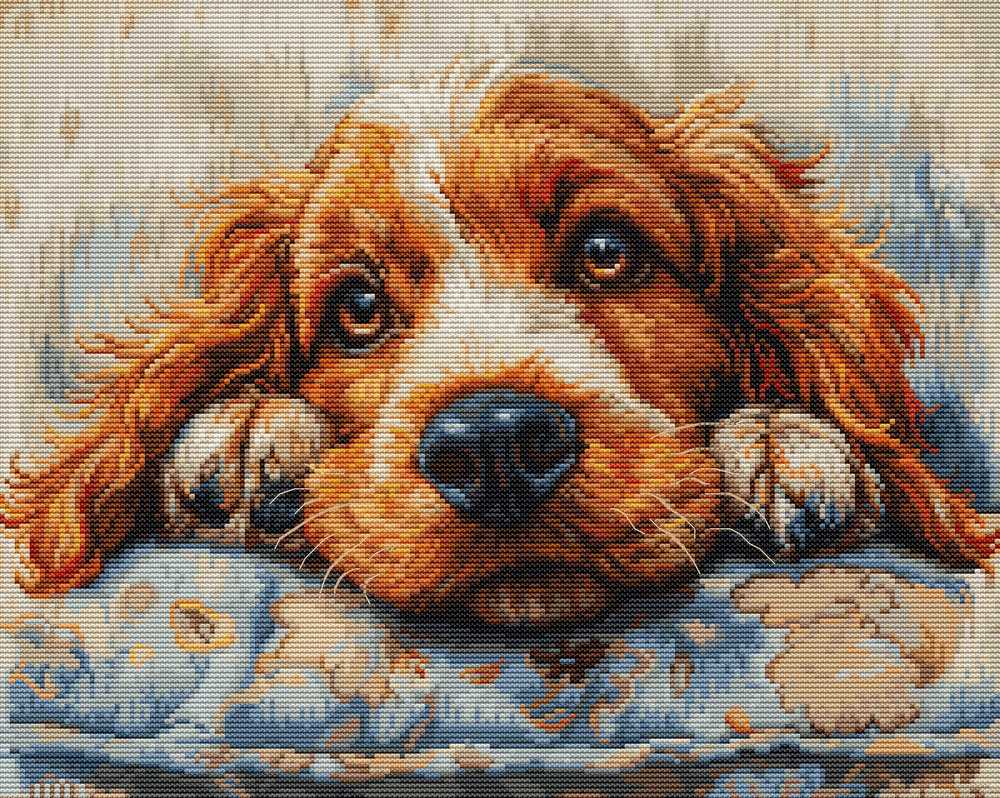 Cocker Spaniel ~ Cross Stitch Kit ~ Luca S