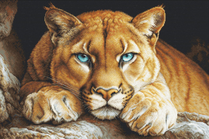 The Wild Spirit Cross Stitch Kit ~ Luca S GOLD