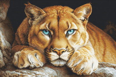 The Wild Spirit  Cross Stitch Kit ~ Luca S GOLD