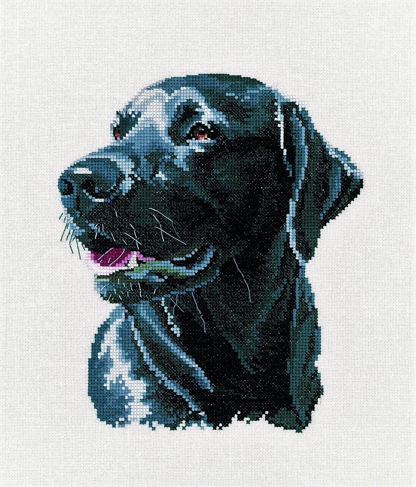 Chester Labrador Cross Stitch Kit Heritage Crafts SALE