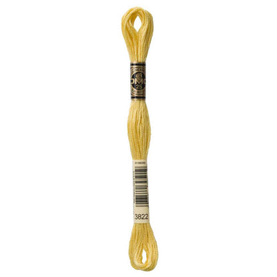 DMC 3822 Mouline Stranded Cotton