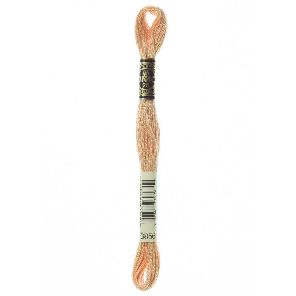 DMC 3856 Mouline Stranded Cotton