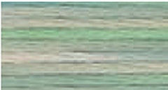 DMC 4065 Colour Variations Stranded Cotton