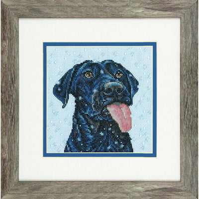 Snow Dog Cross Stitch Kit - Dimensions