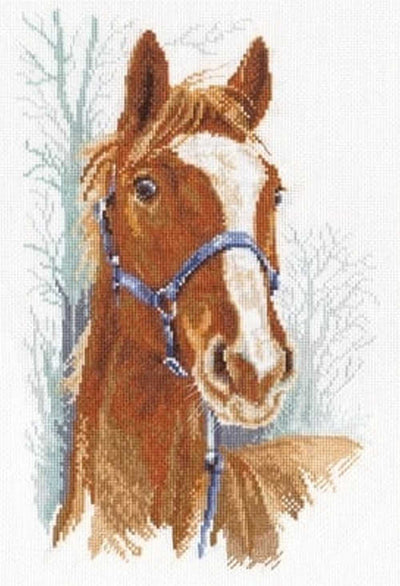 Orlik Horse Cross Stitch Kit ~ PANNA