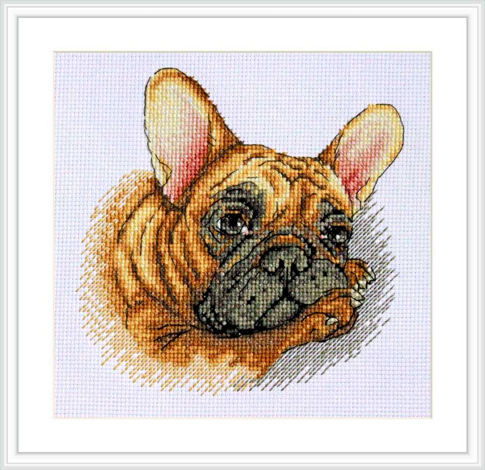 French Bulldog Cross Stitch Kit ~ Merejka