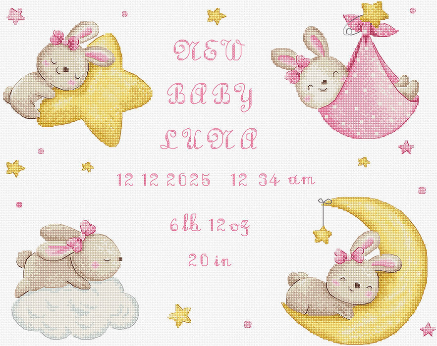 Baby Girl Record Cross Stitch Kit - Letitstitch