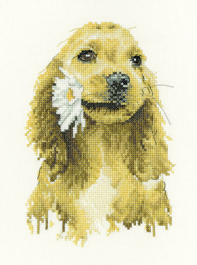 Daisy Cocker Spaniel Cross Stitch Kit Heritage Crafts