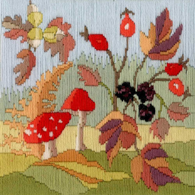 Long Stitch Seasons: Autumn by Derwentwater Designs