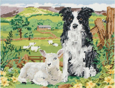 Border Collie and Lamb Tapestry Cushion Kit - Anchor