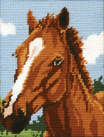 Brown Horse Tapestry Kit - Anchor