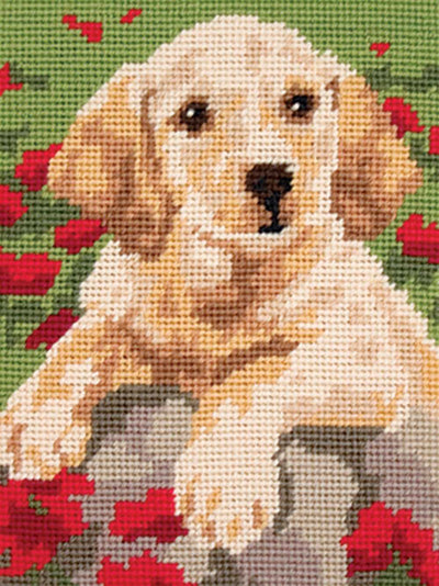 Labrador Puppy Tapestry Kit - Anchor
