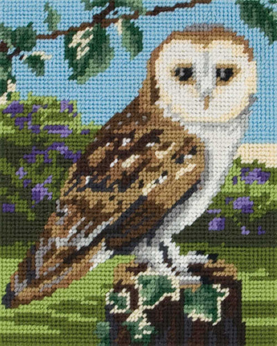 Owl Tapestry Kit - Anchor