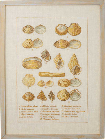 Seashell Sampler Cross Stitch Kit ~ Permin