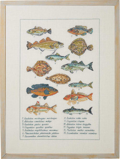 Fish Sampler Cross Stitch Kit ~ Permin