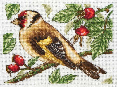 Goldfinch - Anchor Cross Stitch Kit