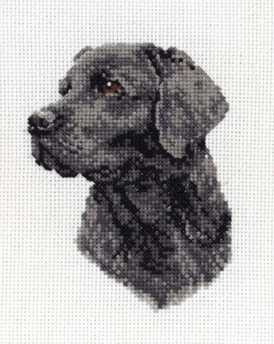 Black Labrador - Anchor Cross Stitch Kit