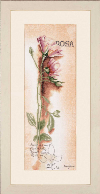 Rosa: Botanical (Linen) Counted Cross Stitch Kit Lanarte