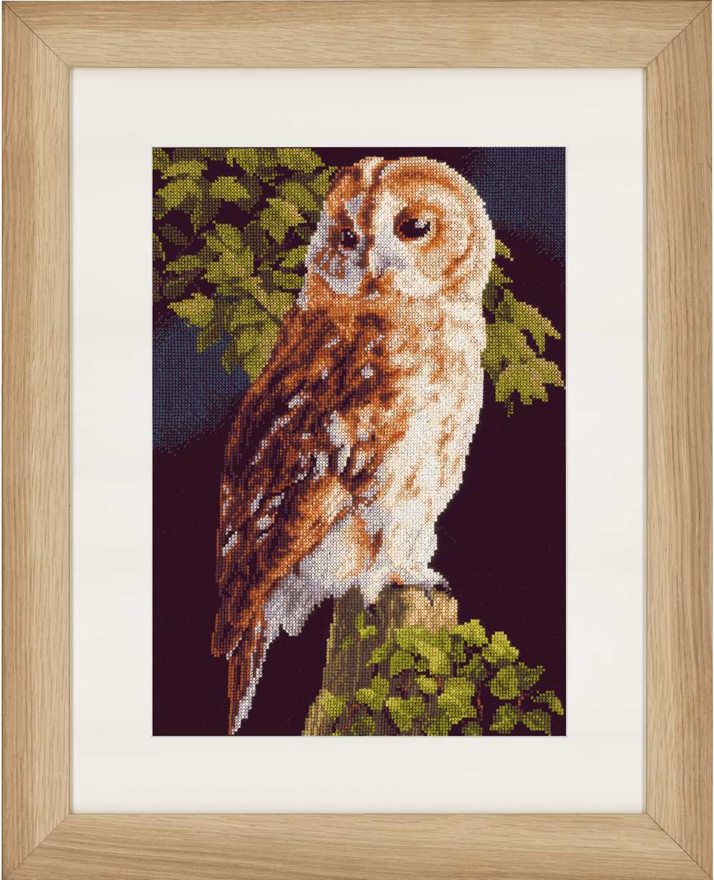 Owl (Aida) Counted Cross Stitch Kit by Lanarte