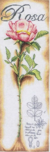 Pink Rose Cross Stitch Kit ~ Lanarte SALE