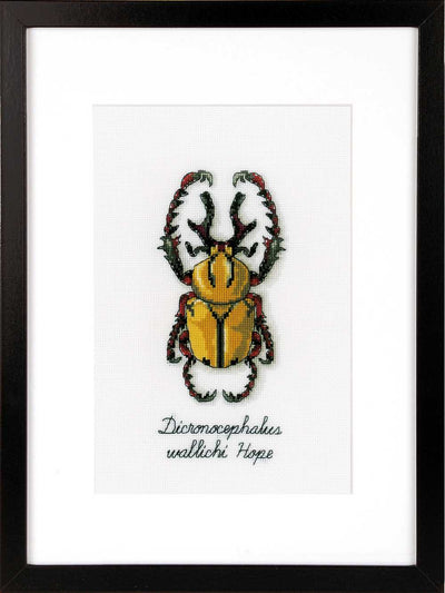 Golden Beetle Cross Stitch Kit Vervaco