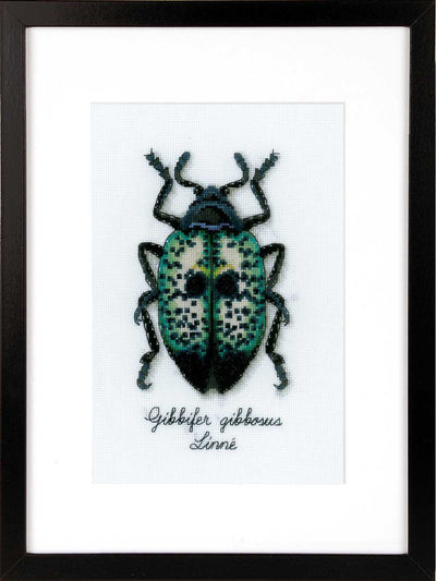 Blue Beetle Cross Stitch Kit Vervaco