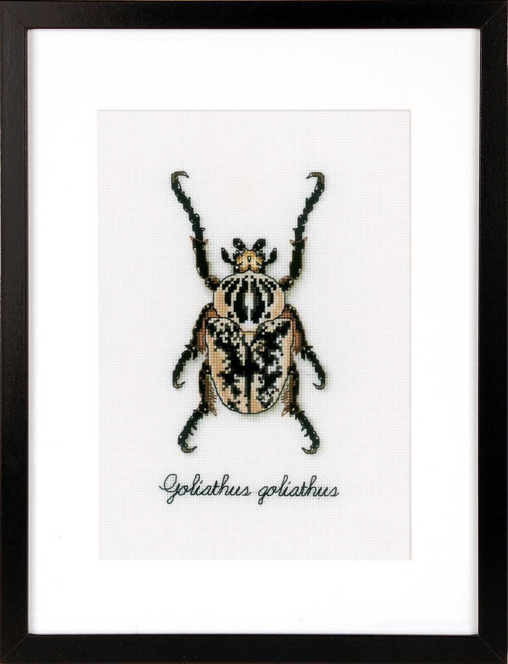 Beige Beetle Cross Stitch Kit Vervaco