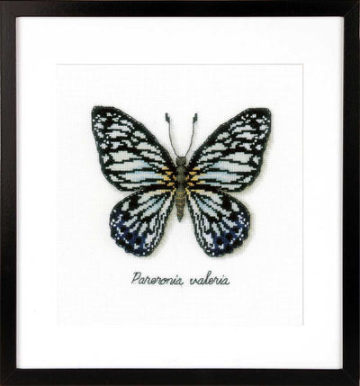 Blue Butterfly Cross Stitch Kit Vervaco