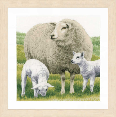 Sheep (Evenweave) Counted Cross Stitch Kit Lanarte