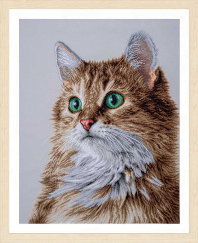 The Purrfect Stare Cross Stitch Kit - Lanarte
