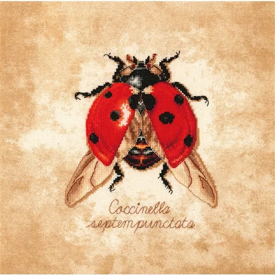 Coccinella Septempunctata Ladybird Cross Stitch Kit ~ Lanarte