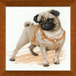 Riolis Cross Stitch Kit - Pug Dog