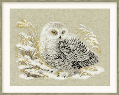 Riolis Cross Stitch Kit - Wise Owl