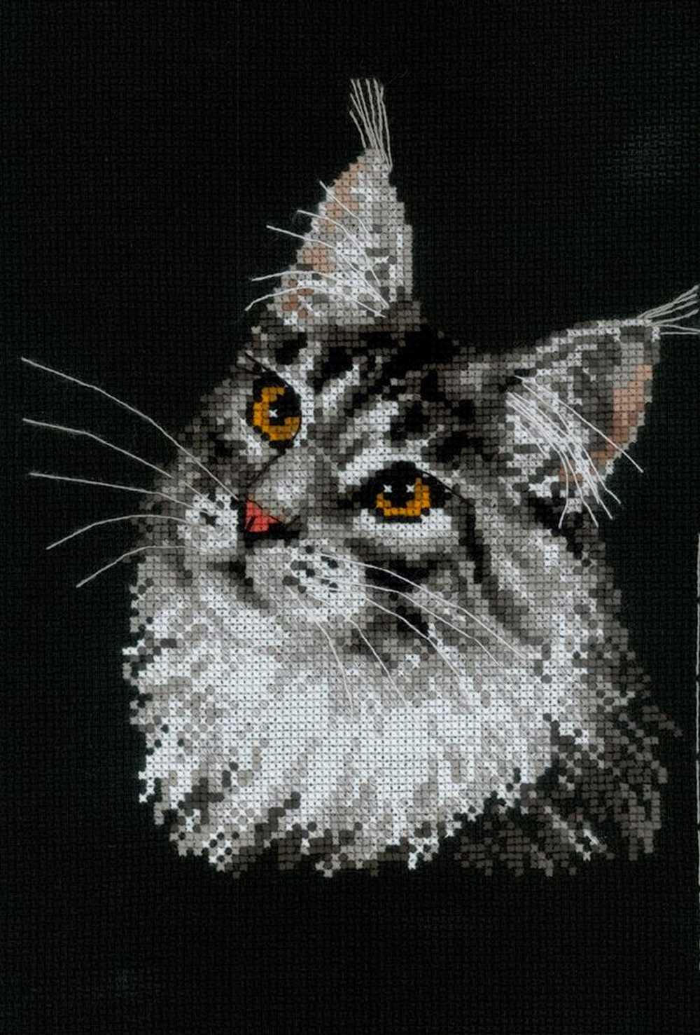Riolis Cross Stitch Kit - Maine Coon