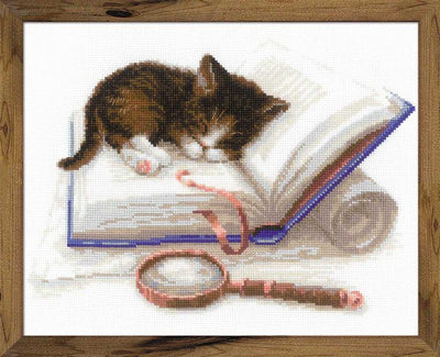 Riolis Cross Stitch Kit - Kitten on a Book