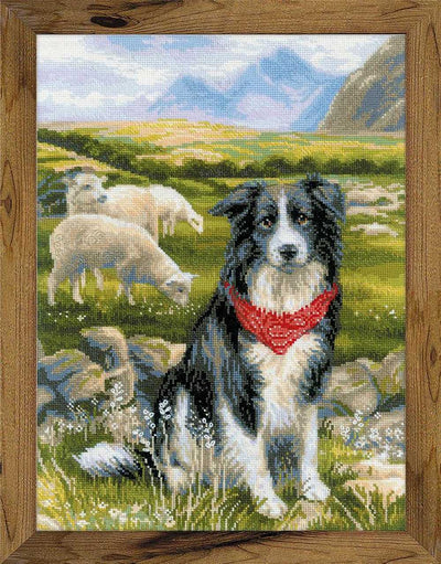 Riolis Cross Stitch Kit - Border Collie