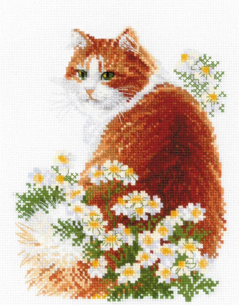 Riolis Cross Stitch Kit - Ginger Meow