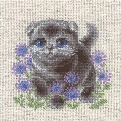 Riolis Cross Stitch Kit - Lop Eared Kitten