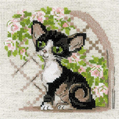 Cornish Rex Kitten Cross Stitch Kit - Riolis