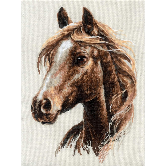 Proud Spirit Cross Stitch Kit ~ RIOLIS