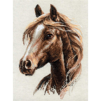 Proud Spirit Cross Stitch Kit ~ RIOLIS