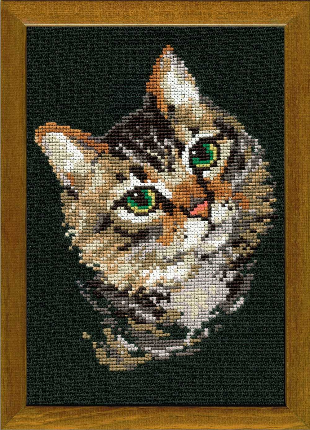 Riolis Cross Stitch Kit - Colourful